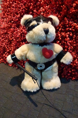 Imagen de la habitación del Hotel The Retreat At Froog-moore Park. Foto 14