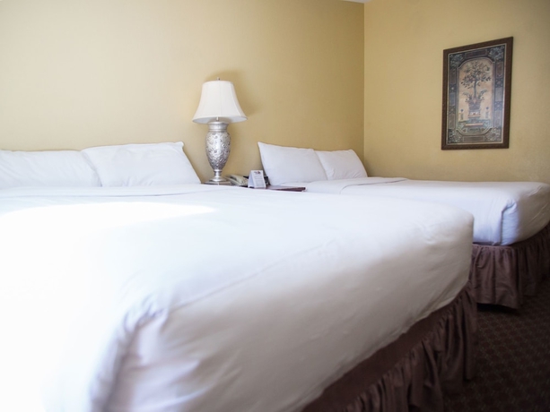 Imagen de la habitación del Hotel The Retreat On Charleston Peak. Foto 4