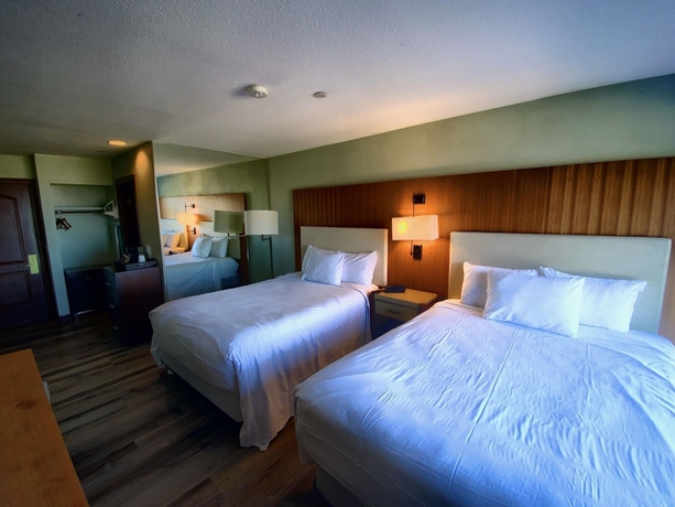 Imagen de la habitación del Hotel The Retreat On Charleston Peak. Foto 6