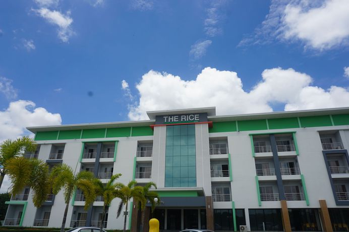 Imagen de la habitación del Hotel The Rice. Foto 14