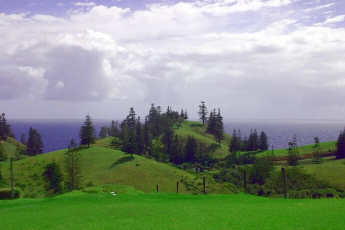 Imagen de los exteriores del Hotel The Ridge, Isla De Norfolk. Foto 36