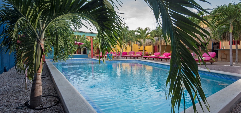 Imagen de la piscina del Hotel The Ritz Village. Foto 9