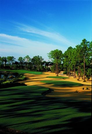 Imagen de los exteriores del Hotel The Ritz-Carlton Golf Resort, Naples. Foto 11