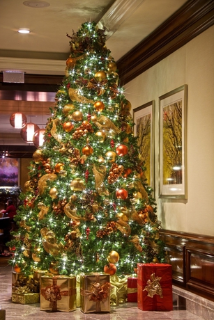 Imagen de los interiores del Hotel The Ritz-carlton, Tysons Corner. Foto 6