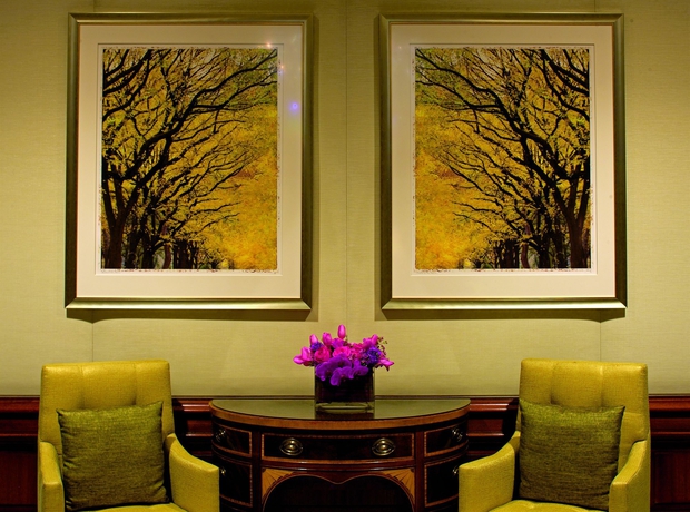 Imagen de los interiores del Hotel The Ritz-carlton, Tysons Corner. Foto 14
