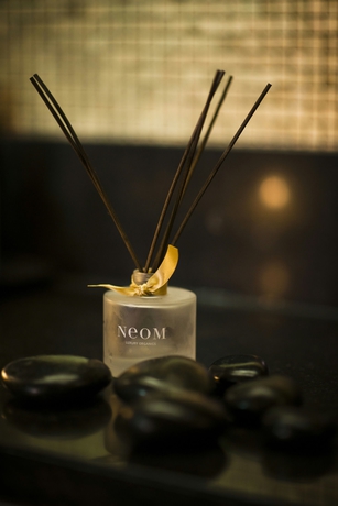 Imagen de los interiores del Hotel The Ritz-carlton, Wolfsburg. Foto 12