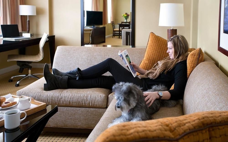 Imagen de la habitación del Hotel The River Inn. Foto 9