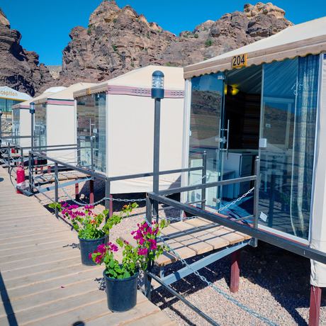 Imagen de la habitación del Hotel The Rock Camp Petra. Foto 13