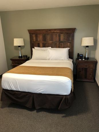 Imagen de la habitación del Hotel The Roosevelt - Yellowstone. Foto 16