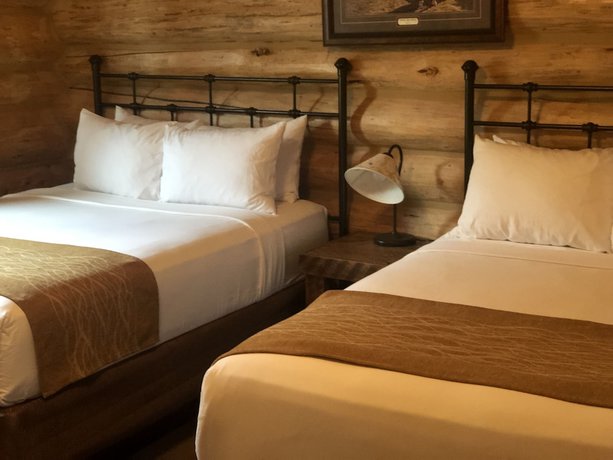 Imagen de la habitación del Hotel The Roosevelt - Yellowstone. Foto 18