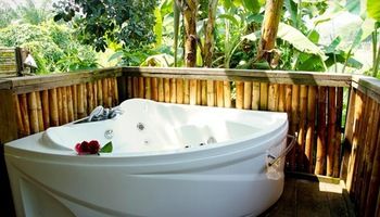 Imagen de la habitación del Hotel The Roots Eco Resort. Foto 5