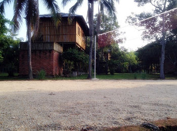Imagen de los exteriores del Hotel The Roots Eco Resort. Foto 10