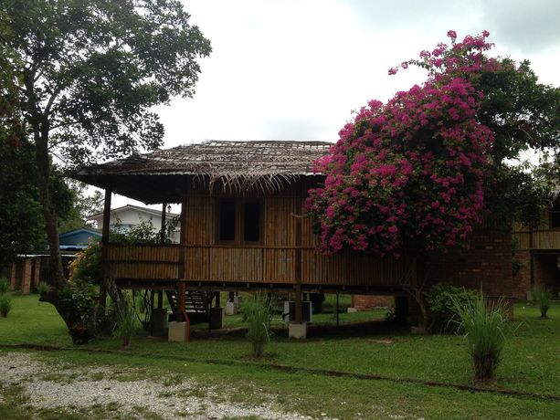 Imagen de la habitación del Hotel The Roots Eco Resort. Foto 8