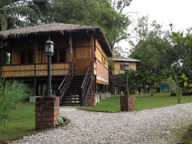 Imagen general del Hotel The Roots Eco Resort. Foto 1