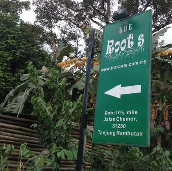 Imagen de la piscina del Hotel The Roots Eco Resort. Foto 15