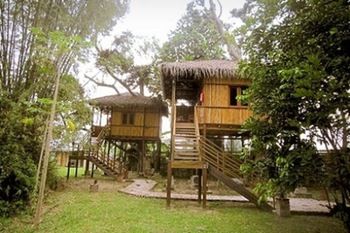 Imagen del bar/restaurante del Hotel The Roots Eco Resort. Foto 4