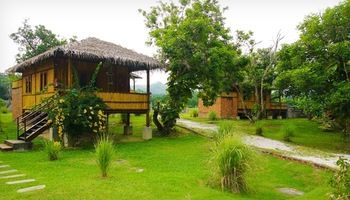 Imagen de los exteriores del Hotel The Roots Eco Resort. Foto 14
