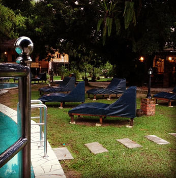 Imagen de la piscina del Hotel The Roots Eco Resort. Foto 16