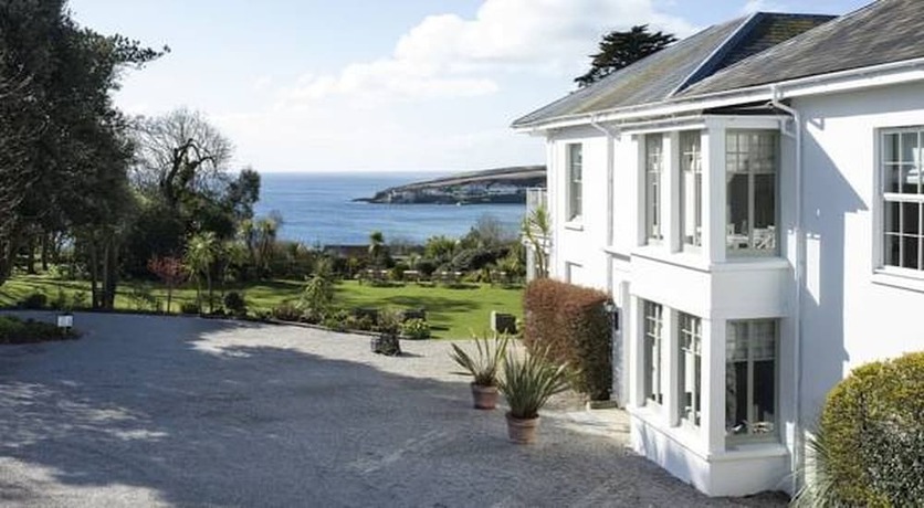 Imagen general del Hotel The Rosevine. Foto 6