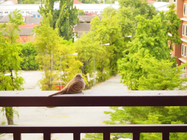 Imagen de los interiores del Hotel The Route Sriracha and Residence. Foto 20