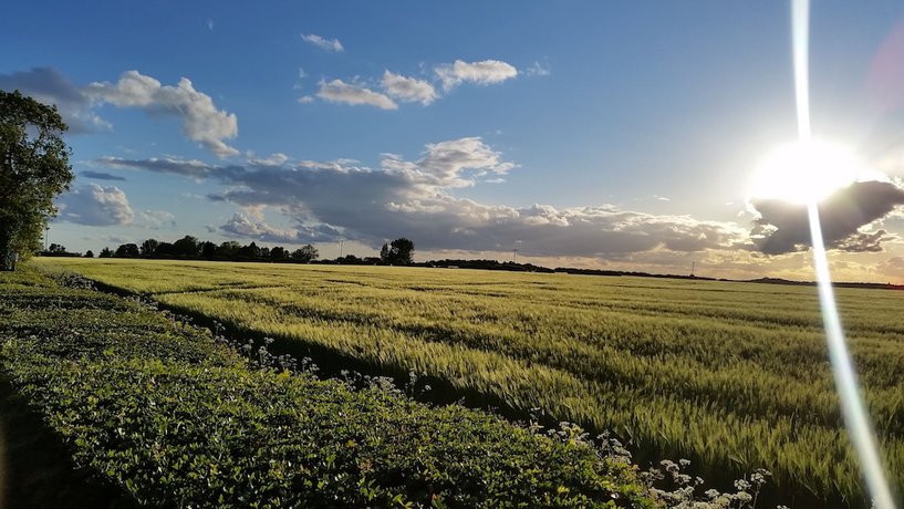 Imagen de la habitación del Hotel The Royal Arms. Foto 13
