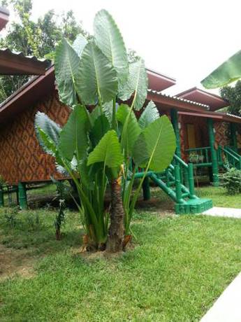 Imagen de la habitación del Hotel The Royal Bamboo Lodge. Foto 3