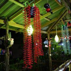 Imagen de la habitación del Hotel The Royal Bamboo Lodge. Foto 7