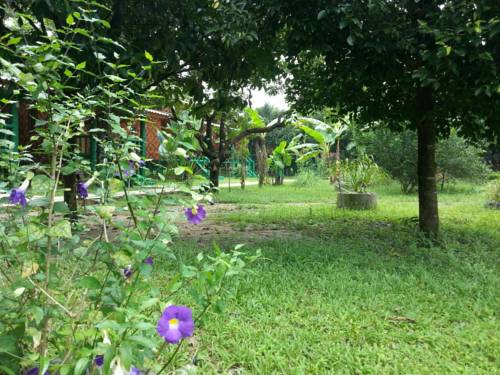 Imagen general del Hotel The Royal Bamboo Lodge. Foto 1