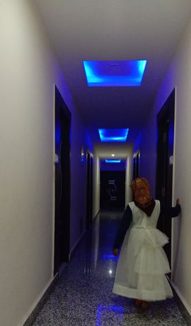 Imagen de los interiores del Hotel The Royal Buddha. Foto 13