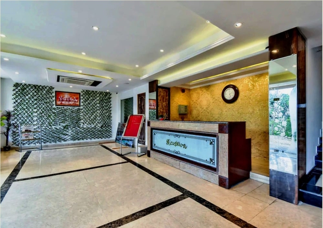 Imagen de los interiores del Hotel The Royal Castle. Foto 13