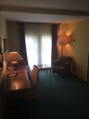 Imagen de la habitación del Hotel The Royal Inn Regent. Foto 8