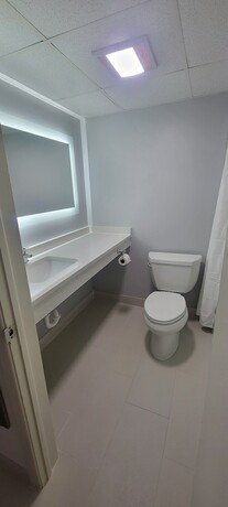 Imagen general del Hotel The Royal Inn and Suites. Foto 7