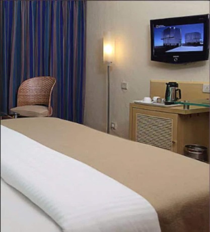 Imagen de la habitación del Hotel The Royal Orchid. Foto 15