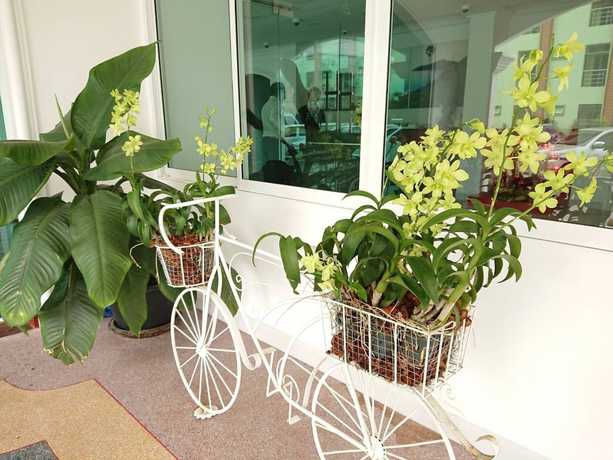 Imagen del bar/restaurante del Hotel The Royal P Boutique. Foto 6