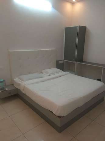 Imagen de la habitación del Hotel The Royal Palace, Damdhar. Foto 5