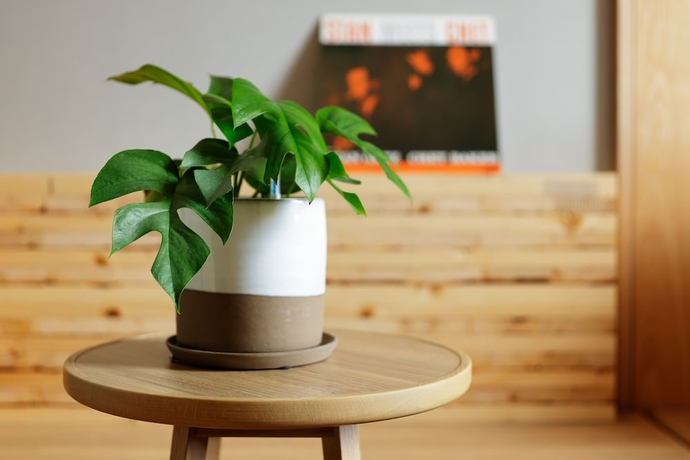 Imagen de la habitación del Hotel The Royal Park Canvas – Sapporo Odori Park. Foto 14