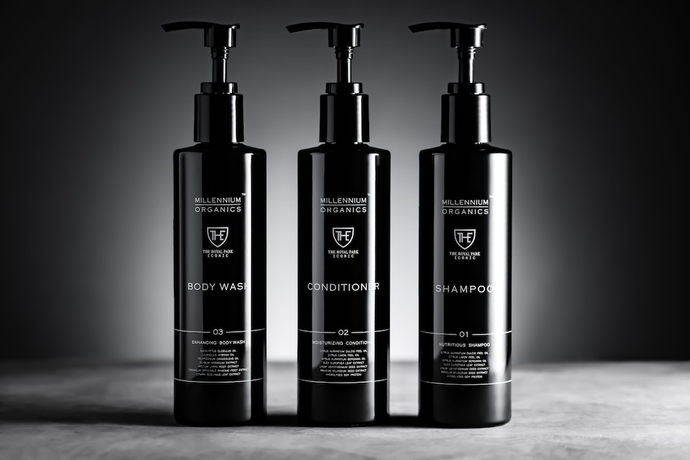 Imagen de la habitación del Hotel The Royal Park Iconic Kyoto. Foto 10