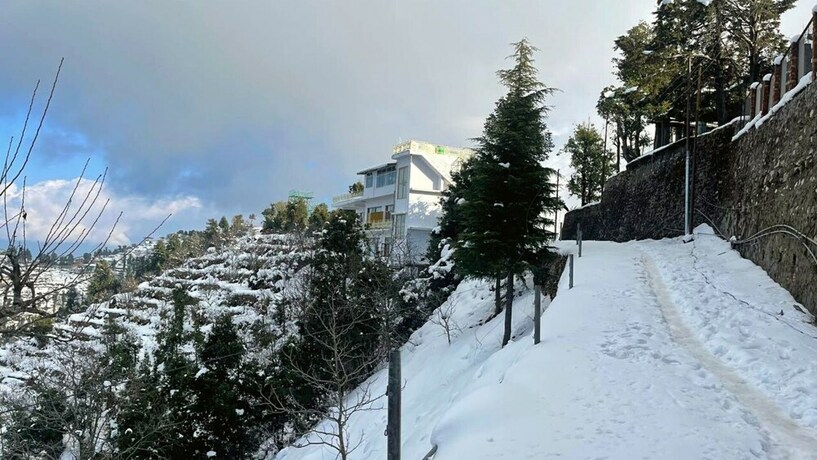 Imagen general del Hotel The Royals Apricot Garden. Foto 4