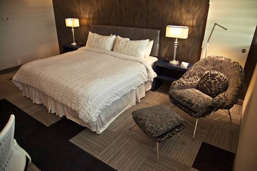 Imagen de la habitación del Hotel The Rushmore and Suites, Bw Premier Collection. Foto 5