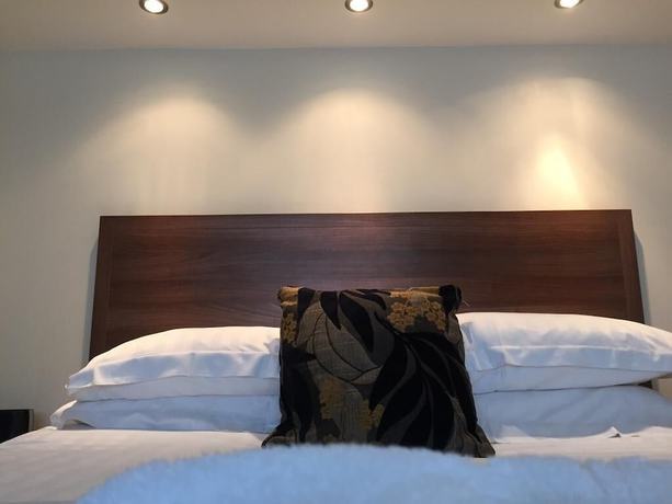 Imagen de la habitación del Hotel The Rusland Pool. Foto 14