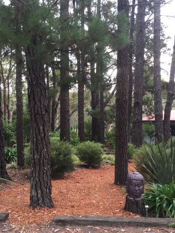 Imagen de los exteriores del Hotel The Rustic Spirit. Foto 10