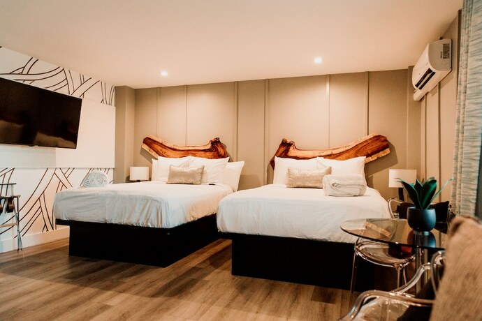 Imagen general del Hotel The Saint. Foto 10