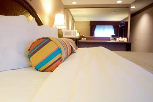 Imagen de la habitación del Hotel The Salem, Salem. Foto 5