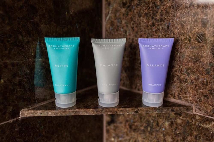 Imagen de la habitación del Hotel The Sam Houston, Curio Collection By Hilton. Foto 5