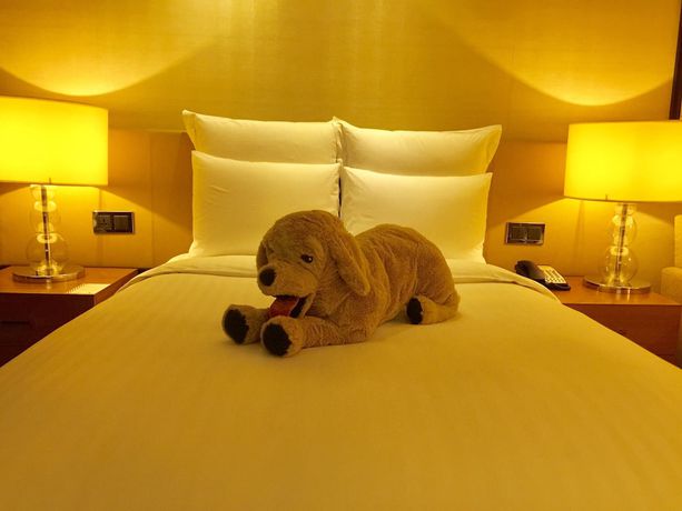 Imagen de la habitación del Hotel The Sandalwood, Beijing - Marriott Executive Apartments. Foto 7