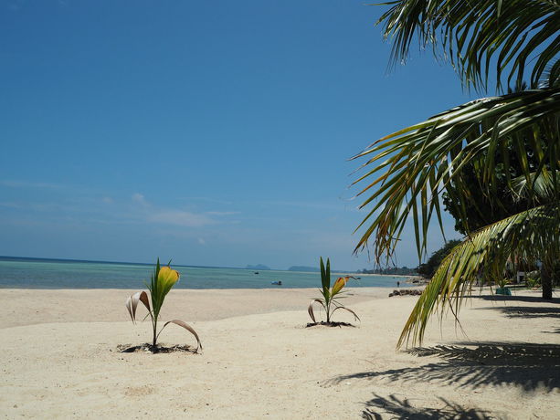 Imagen de la habitación del Hotel The Scenery Beach Resort. Foto 11