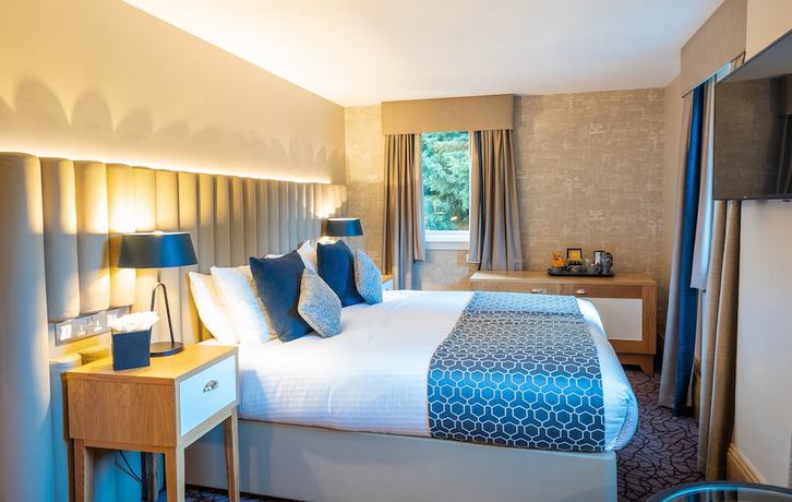 Imagen de la habitación del Hotel The Scholar. Foto 6