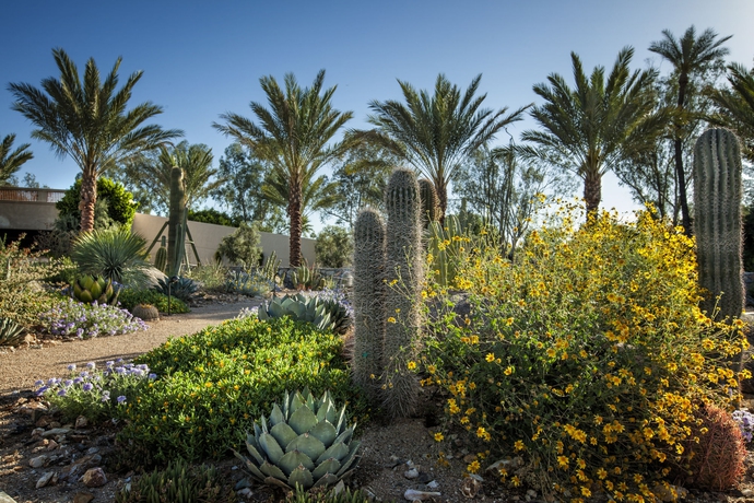 Imagen de los exteriores del Hotel The Scottsdale Resort and Spa, Curio Collection By Hilton. Foto 12