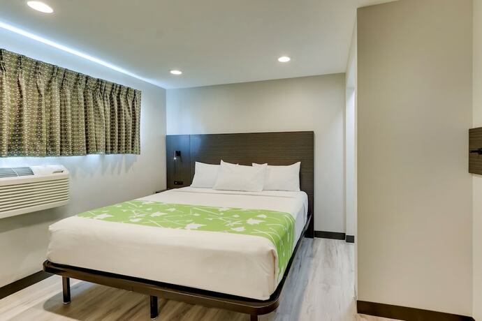 Imagen general del Hotel The Shamrock. Foto 9