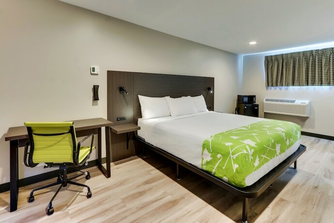 Imagen de la habitación del Hotel The Shamrock. Foto 11